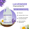 Gallon Shampoo Lavender Chamomile