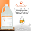 Gallon Shampoo Orange Nutmeg Vetiver