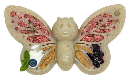 Butterfly Nylon Chew & Enrichment Toy | 2-in-1 for Aggressive Chewers