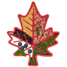 Canadian Maple Leaf Nylon Dog Chew Toy