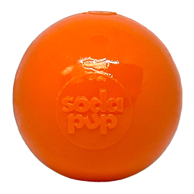 Squeak Ball - Durable Squeaky Dog Toy, Floats, Chew Toy