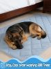 40x60in Large Cooling Blanket for Dogs - Machine Washable Soft Blanket with Q-MAX>0.4, Fits Medium Large Dogs, Summer Cooling Mat for Dog Kennel Car S