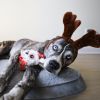 Steel Dog - Holiday Baby Owl