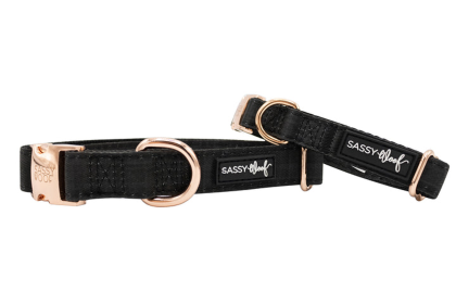 Collar (Color: black, size: small)