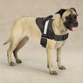 Guardian Gear Excursion Harnesses (size: 36-46 In)