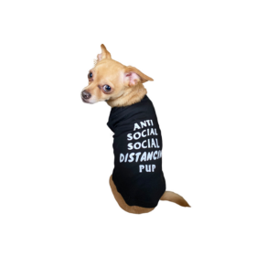 Anti Social Social Distancing Pup (Color: black, size: X Small)