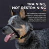 Canny Collar No-Pull Dog Head Collar Gentle & Humane Leash Training Aid