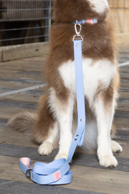 Waterproof Dog Leash (Color: Blue Sky Orchid)