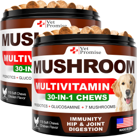 Mushroom for Dogs Turkey Tail Mushroom (Option: 2 Pk)