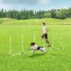 Dog Outdoor Exercise Training Set ( Amazon Shipping)Prohibited by WalMart