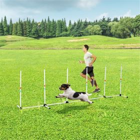 Dog Outdoor Exercise Training Set ( Amazon Shipping)Prohibited by WalMart (Default: default title)