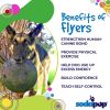 Bottle Top Flyer Rubber Frisbee for Heavy Chewers | USA Made
