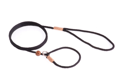 Nylon Slip Lead With Stopper (size: 4 ft  x 1/8in or 4mm)