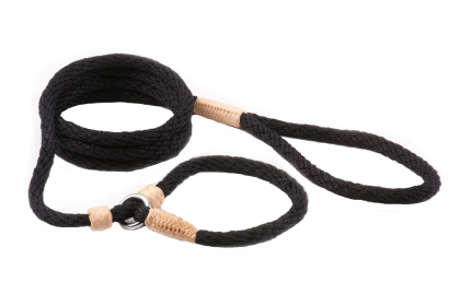 Nylon Slip Leash With 2 Stoppers (size: 6ft  x 5/16in or 8mm)